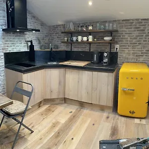 Strandlopertje , Zandvoort Niederlande