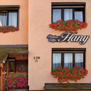 Hany Penzion